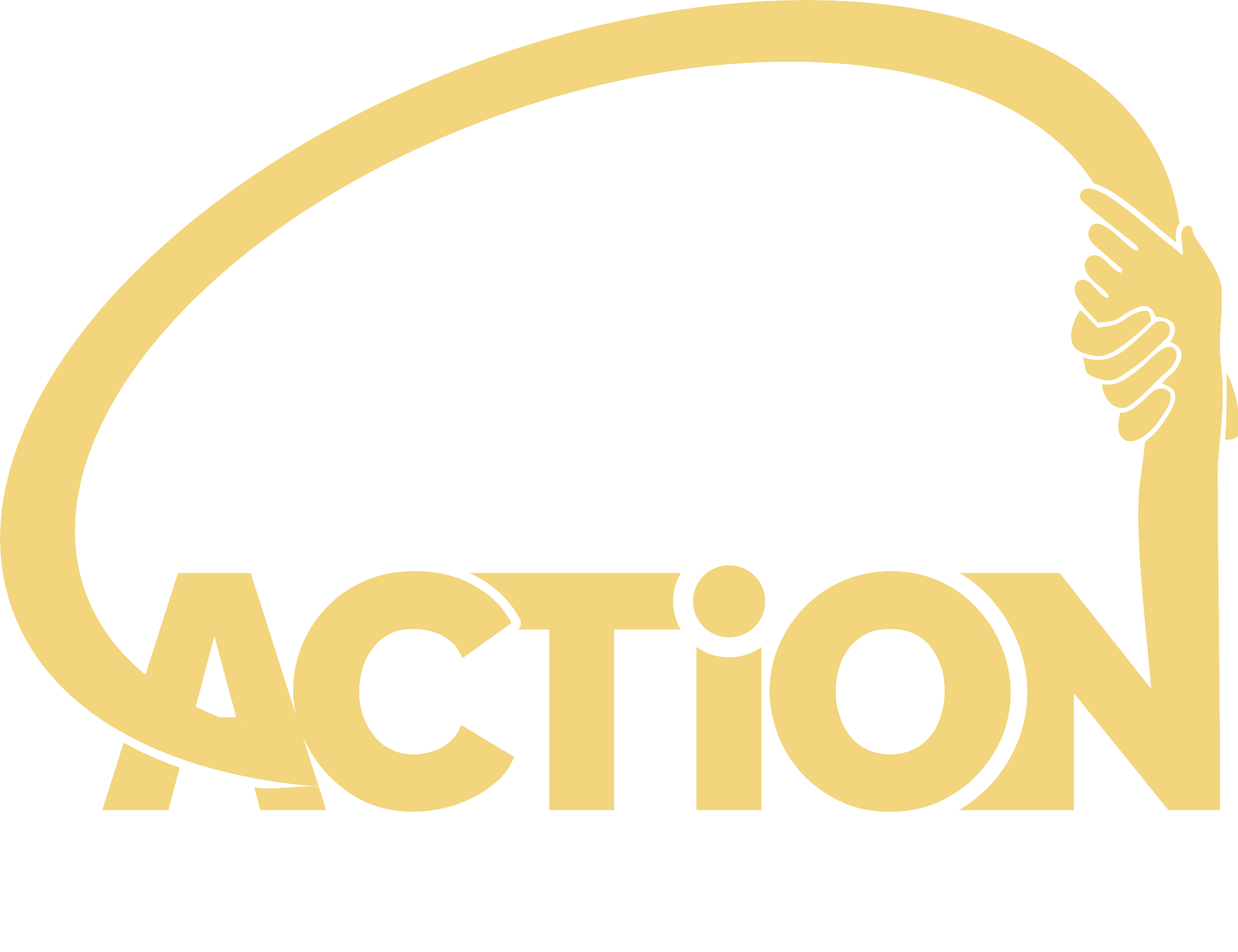 Action Network HT